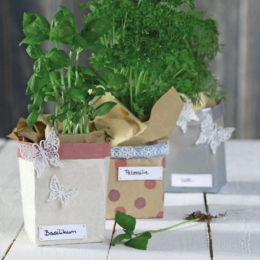 DecorMatte Schmetterling