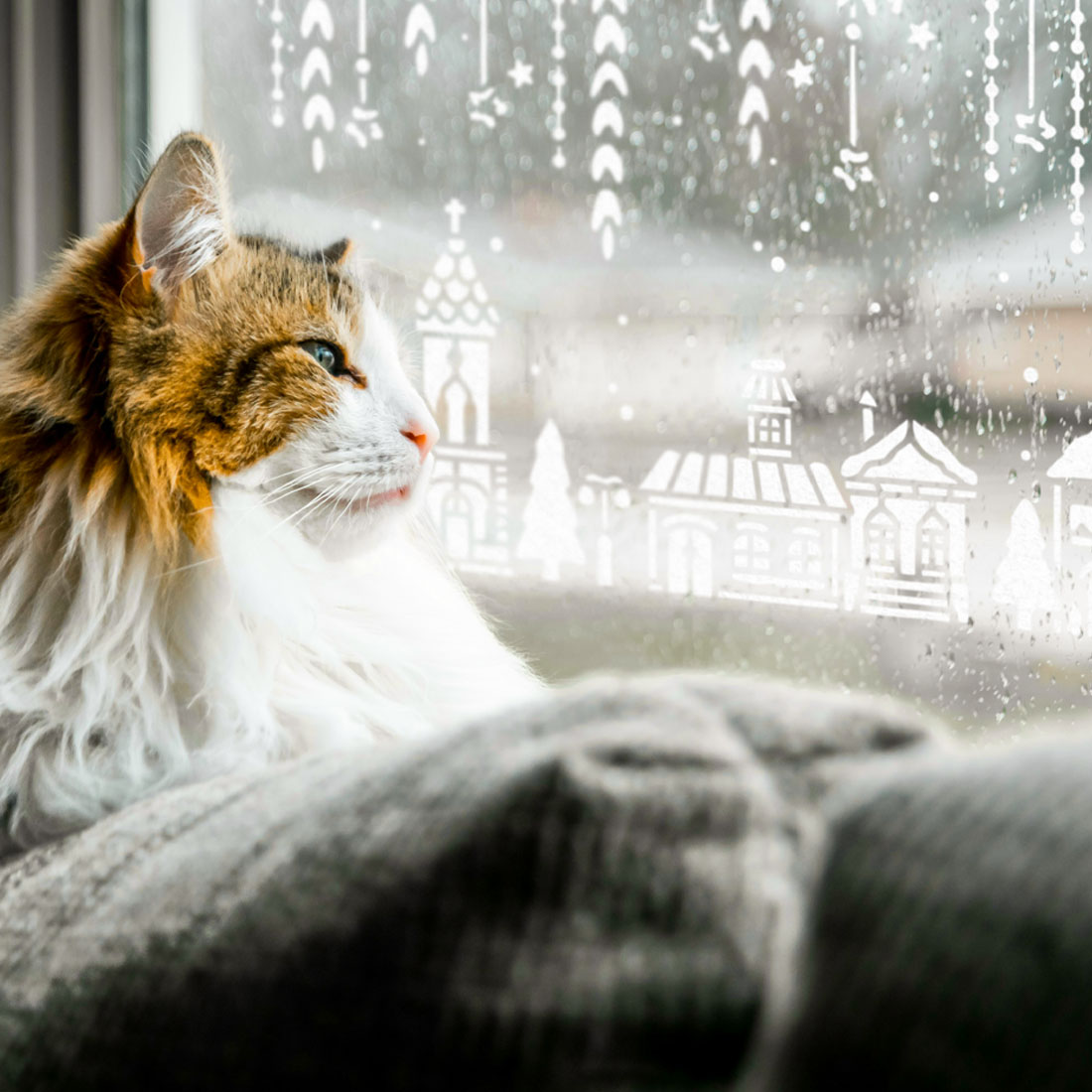 SchneeCreme Set Hüttencharme